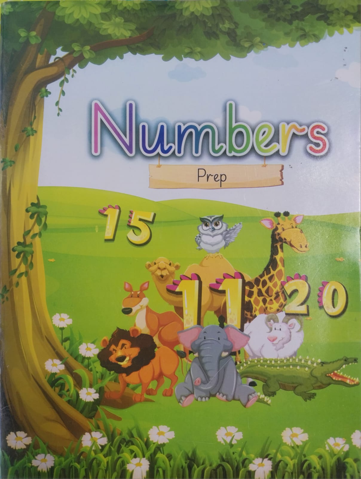 Allied School Book Numbers Class Prep