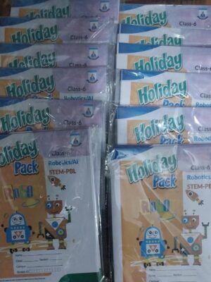Allied School Holiday Pack Class 6