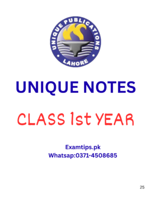 UNIQUE NOTES 1st Year